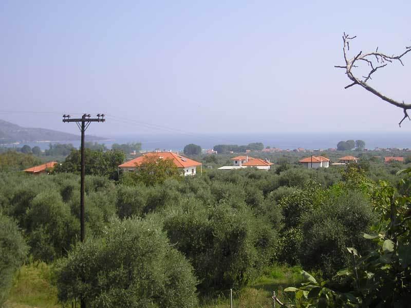 Hotel Irini Skala Potamia Exterior foto